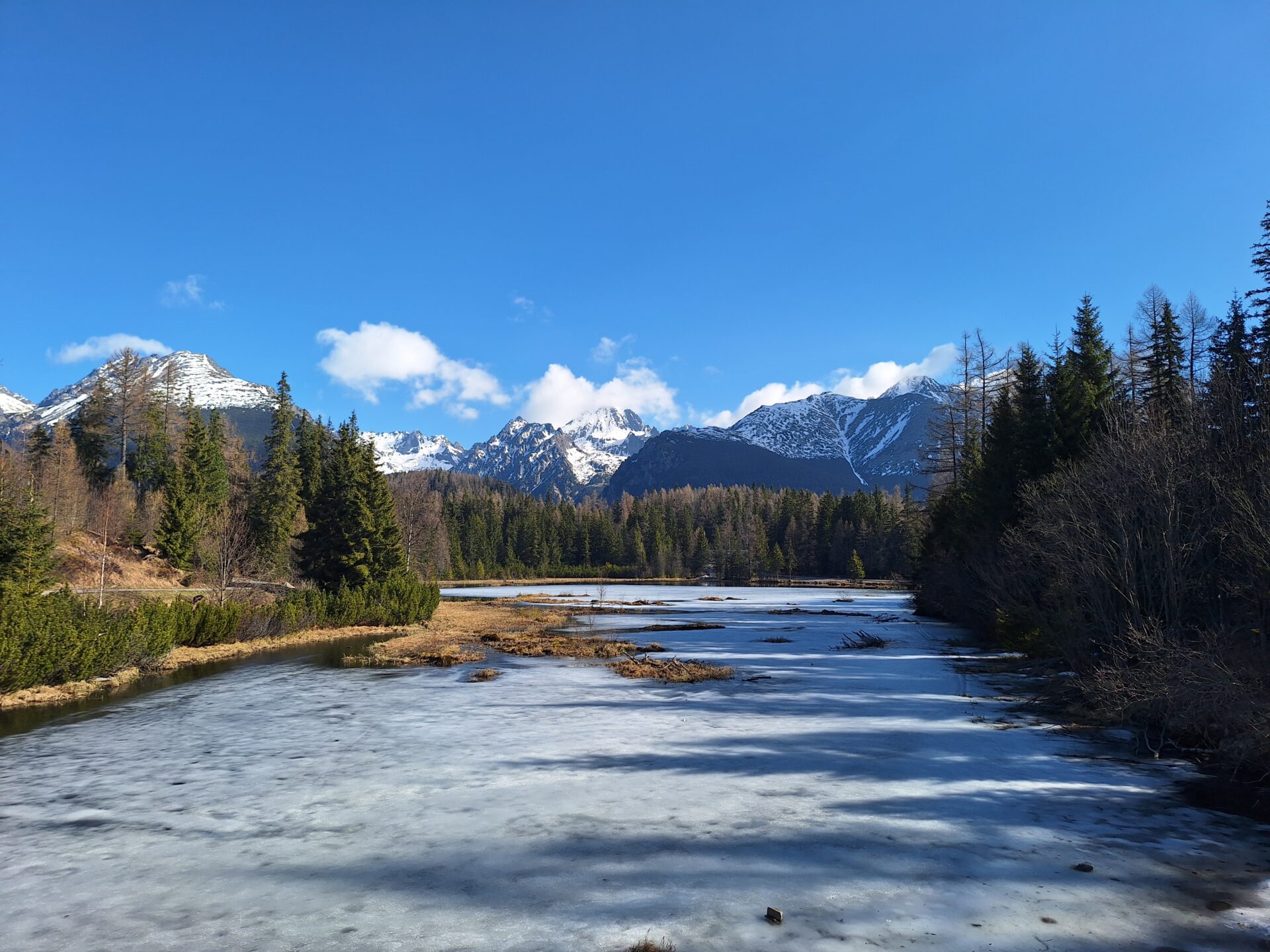 Poděkování účastníkům ENVIRO 2026