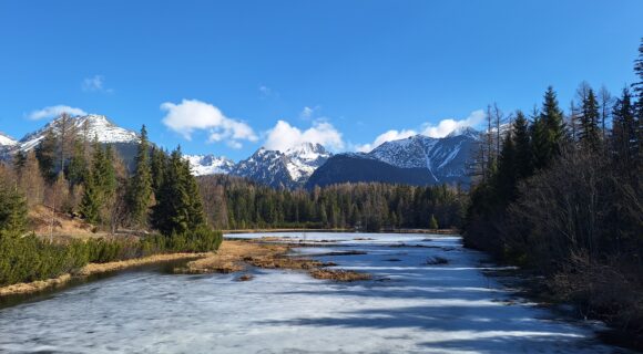 Poděkování účastníkům ENVIRO 2026